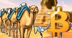 在埃及挖矿涉及哪些税?矿企税务研究